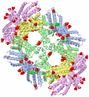 Image Biological Unit 3