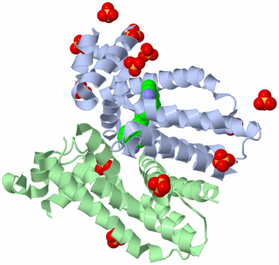 Image Biological Unit 1