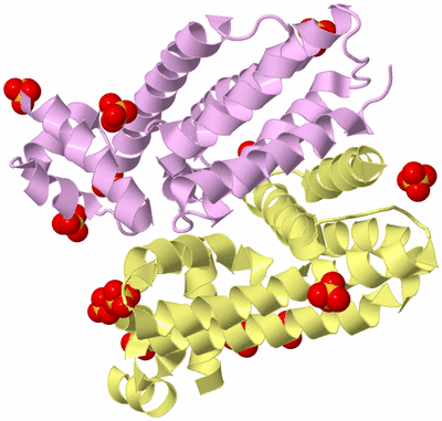 Image Biological Unit 2