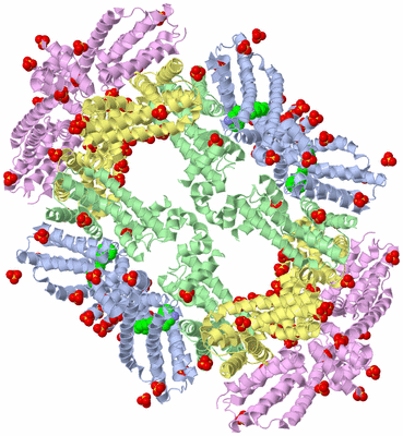 Image Biological Unit 3