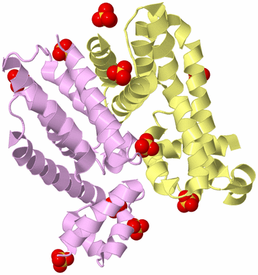 Image Biological Unit 2