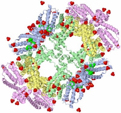 Image Biological Unit 3