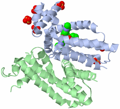 Image Biological Unit 1