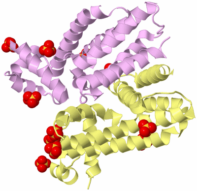 Image Biological Unit 2