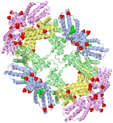 Image Biological Unit 3