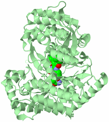 Image Biological Unit 2