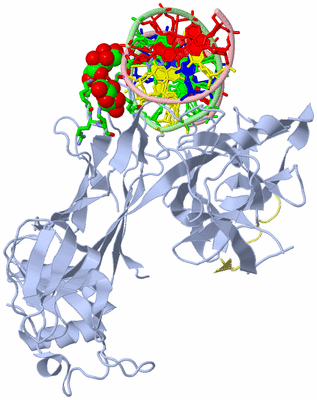 Image Asym./Biol. Unit - sites