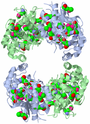 Image Biological Unit 2