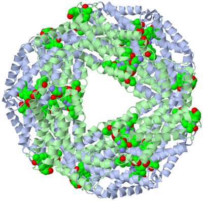 Image Biological Unit 1