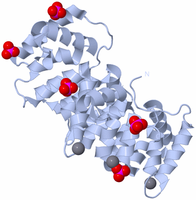 Image Biological Unit 1