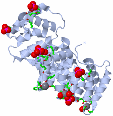 Image Biol. Unit 1 - sites