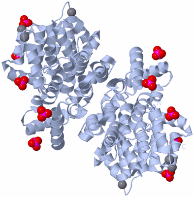 Image Biological Unit 2