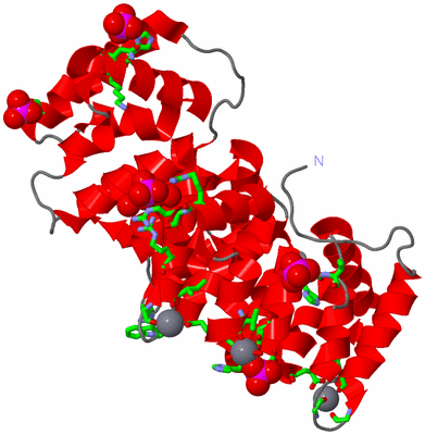 Image Asym. Unit - sites