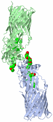 Image Asym. Unit - sites