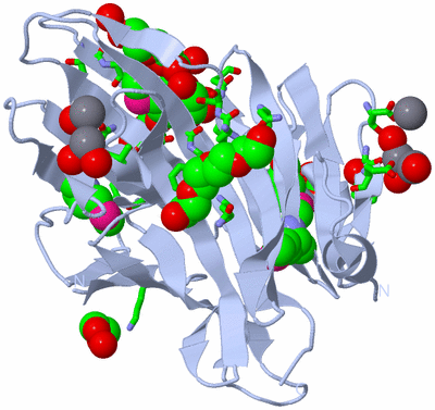 Image Biol. Unit 1 - sites