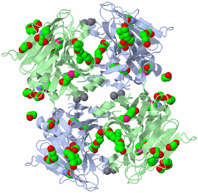 Image Biological Unit 3