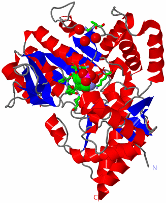 Image Asym. Unit - sites