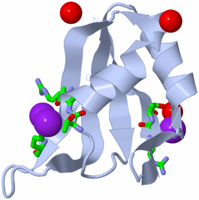 Image Biol. Unit 1 - sites