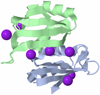 Image Biological Unit 3