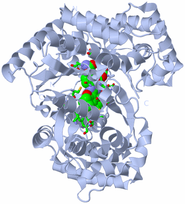 Image Biol. Unit 1 - sites