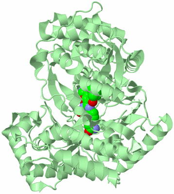 Image Biological Unit 2