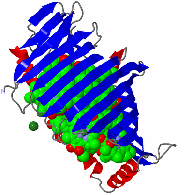 Image Asymmetric Unit