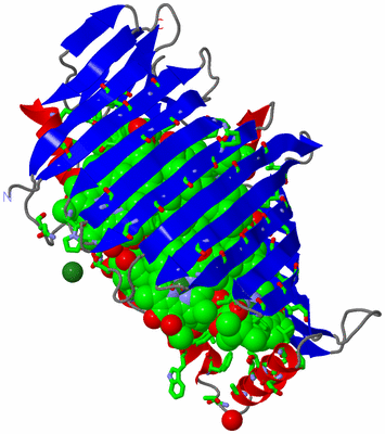 Image Asym. Unit - sites