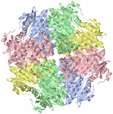 Image Biological Unit 3