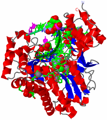 Image Asym./Biol. Unit - sites