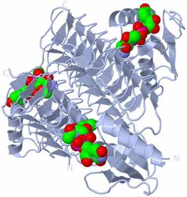 Image Biological Unit 1