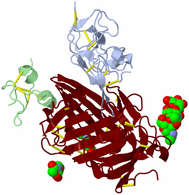 Image Biological Unit 1