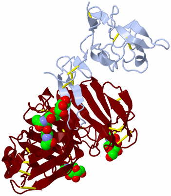 Image Biological Unit 2