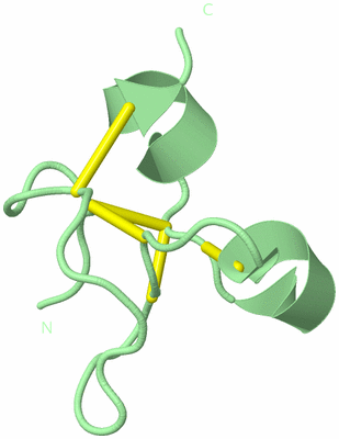 Image Biological Unit 3