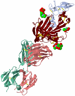 Image Biological Unit 2