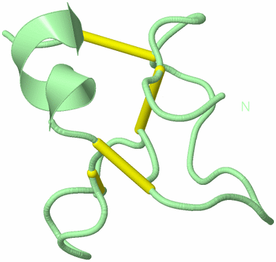 Image Biological Unit 3