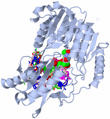 Image Biological Unit 1