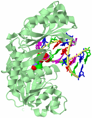 Image Biological Unit 2