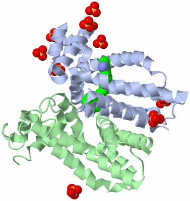 Image Biological Unit 1