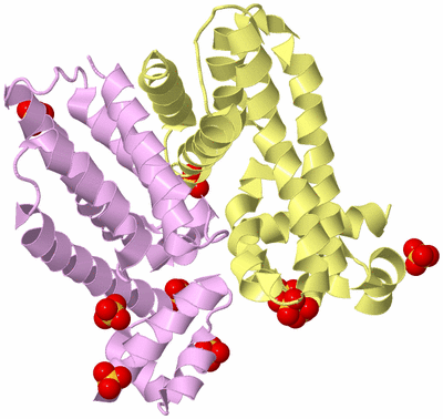 Image Biological Unit 2