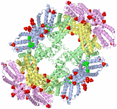 Image Biological Unit 3