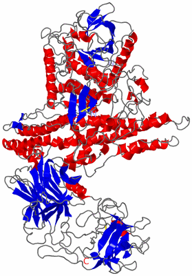 Image Asym./Biol. Unit