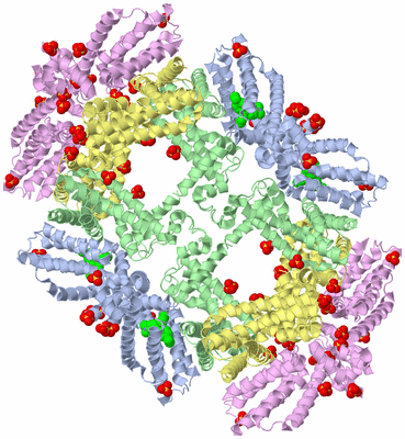 Image Biological Unit 3