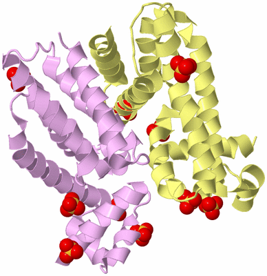 Image Biological Unit 2