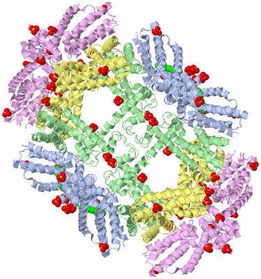 Image Biological Unit 3