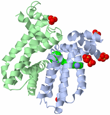 Image Biological Unit 1