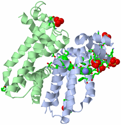 Image Biol. Unit 1 - sites