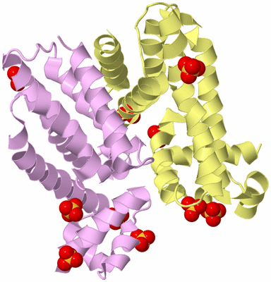 Image Biological Unit 2