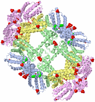 Image Biological Unit 3