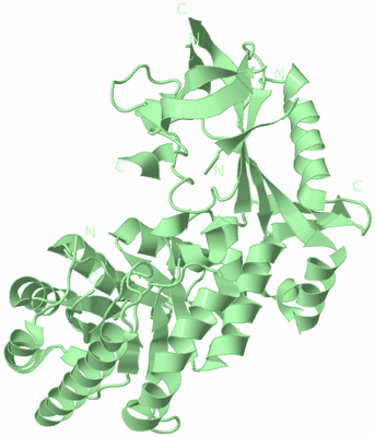 Image Biological Unit 2