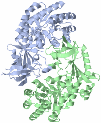 Image Biological Unit 3